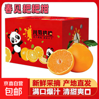 【新鲜发货】四川耙耙柑 柑橘 新鲜水果 生鲜 耙耙柑 水果年货 新鲜采摘【整箱5斤装】净重4.5斤单果65mm