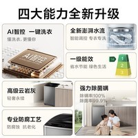 TCL 8公斤小型波轮洗衣机全自动家用 L2R大容量一级能效 家电国家补贴20%以旧换新 送装一体B80L2R