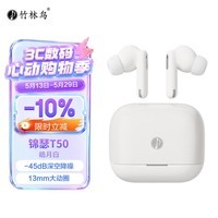 竹林鸟锦瑟T50蓝牙ANC降噪入耳式耳机TWS低延迟游戏通勤办公无线HiFi调音 皓月白