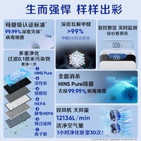 布鲁雅尔(Blueair)【家电国家补贴】空气净化器除甲流病菌除甲醛异味过敏原 303+ 380IF升级款双风机空气飓星CP7i