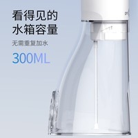 博皓(prooral)冲牙器洗牙器电动牙齿冲洗器水牙线 正畸牙缝清洁口腔护理 洁牙器去结石电动家用便携式刷牙工具 F38白【300ml水箱】