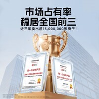 ENOVA乐享派人体工学椅舒适大学生宿舍用久坐舒服打游戏办公椅电脑椅子 LITE版 无脚踏【5档撑骶腰靠+固定扶手+海绵坐垫】