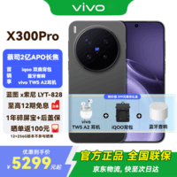 vivo X300 Pro 新品5G手机 国补专享 蔡司2 亿 APO 超级长焦AI 影像旗舰 16+512G 纯粹黑 官方标配 全网通