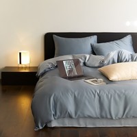 AIDLI60支兰精天丝四件套 A类莱赛尔凉感丝滑轻奢床上套件 灰蓝色-冰川灰 四件套 床单款 （被套200*230cm）