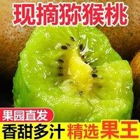 陕西眉县徐香猕猴桃2026年新果现摘现发香甜多汁坏果包赔京东包邮 香甜多汁8枚装(单果70-90g)