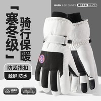 GOLOVEJOY新款冬季保暖抗寒抗风手套双层加绒加厚户外骑行运动手机触碰手套 【防水款】白色