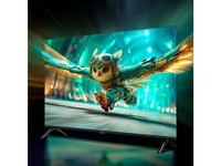 TCL雷鸟电视 50雀4 25款 50英寸 莱茵护眼双认证 自定义遥控器 无开机广告 家电国家补贴电视50F195C