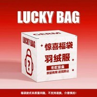 班尼路（Baleno）冬季惊喜羽绒服福袋盲盒，全新无暇，放心购 【羽绒服】一件冬装盲盒 L