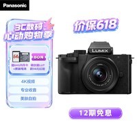 松下G100DK （Panasonic）微单相机   数码相机 vlog相机 微单套机12-32mm 4K视频 专业收音 柔肤自拍