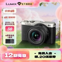 松下（Panasonic）Lumix S9N【S9 + 18-40mm 原封套机】 全画幅相机 L卡口 微单相机 无反数码相机 S9N丨S9+18-40mm套机【银色】