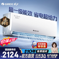 格力(GREE)空调挂机天仪Pro1.5匹/1p 新一级能效 变频冷暖两用 净菌自清洁壁挂式 天仪Pro 大1匹 新品