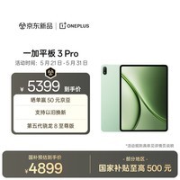 一加平板 3 Pro 国家补贴 13.2英寸平板电脑 第五代骁龙8至尊版 16GB+512GB 浅绿 办公学习游戏平板