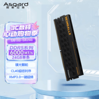 阿斯加特（Asgard）24GB DDR5 6000 台式机内存条 海姆达尔 马甲条 镁光颗粒 CL40 黑厚甲 AI电脑配件升级