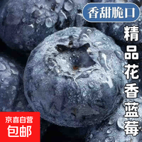 云南高山蓝莓【JD快递-多地次日达】超大花香蓝莓果新鲜水果送礼1 精选果【单果15mm+】 2盒 越多越划算【70g/盒】