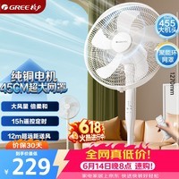 格力（GREE）【巨风量大机头】大风量落地扇家用电风扇摇头轻音柔风电扇科技风节能宿舍风扇 FD-40X77Bh5