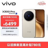 vivo X300 Pro 16GB+1TB 摄影师套装 旷野棕 蔡司2亿APO超级长焦 蓝图影像双芯 拍照 AI手机