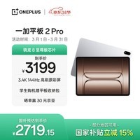 一加平板 2 Pro【国家补贴】13.2英寸平板电脑骁龙8至尊版芯片 8GB+256GB 冰川银 游戏办公学生