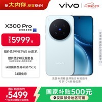vivo X300 Pro 16GB+512GB 自在蓝 蔡司2亿APO超级长焦 蓝图影像双芯 5年持久流畅OriginOS 6 AI手机