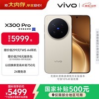 vivo X300 Pro 16GB+512GB 旷野棕 蔡司2亿APO超级长焦 蓝图影像双芯 5年持久流畅OriginOS 6 AI手机