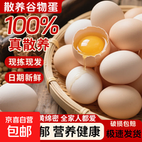 山林散养新鲜鸡蛋当日现捡土鸡蛋生鲜京东超市单枚40g左右 当日现捡新鲜土鸡蛋20枚