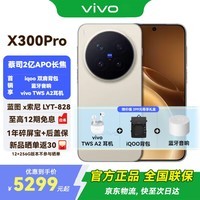 vivo X300 Pro 新品5G手机 国补专享 蔡司2 亿 APO 超级长焦AI 影像旗舰 16+512G 旷野棕 vivo尊享礼盒套装 全网通