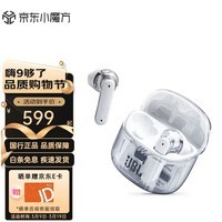 JBL TUNE FLEX 小晶豆真无线蓝牙耳机 半入耳音乐耳机 主动降噪运动防汗苹果安卓手机通话耳机 小晶豆-白色