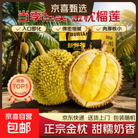 6月4日前发货泰国巴掌金枕榴莲当季新鲜整个带壳 【不懂生熟咨询客服-生劈不售后】 【泰国金枕巴掌榴莲】净重8-10斤【2-4个果】