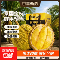 【预售6月4日前发货】新鲜泰国巴掌金枕榴莲水果鲜榴莲巴掌榴莲 【不懂生熟咨询客服-生劈不售后】 【泰国金枕巴掌榴莲】净重8-10斤【2-4个果子】