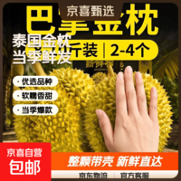 6月4日前发货泰国巴掌金枕榴莲非礼盒新鲜带壳一整个当季进口 巴掌金枕8-10斤（共2-4个，大小随机）