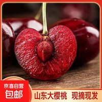 【优选】现摘现发山东大樱桃应当季空运国产车厘子孕妇水果新鲜 5斤(净重) 带箱6斤 情侣果大果 强烈推荐