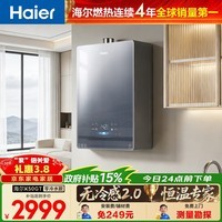 海尔（Haier）【咨询客服领优惠】【小海鲸K50GT】燃气热水器天然气家用16升无冷感7A一级恒温 压零冷水 16L 【无冷感K50GT】