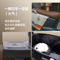 爱玛电动摩托车 【特价清仓】辉腾长续航大电池高功率大空间高性价比电动车 极夜黑