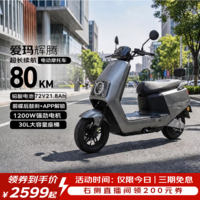 爱玛电动摩托车 爱玛辉腾电动车自营京东夏季电瓶车长续航爱玛电动车官方旗舰店京东电动摩托车极地灰