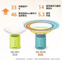 索尼（SONY）SRS-XB100 蓝牙音箱音响 迷你便携 重低音16小时续航 户外音箱 防水防尘 灰色