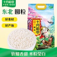 十月稻田 糯米 5斤 新米 东北圆粒糯米 五谷杂粮米 粽子糯米粉 端午
