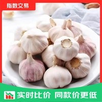 新鲜干蒜即食大蒜蔬菜小龙虾生蚝调料蒜 金乡新鲜干蒜1斤带箱