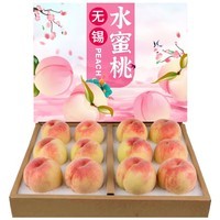 硕醴纪正宗无锡水蜜桃 JD顺丰 时令水果礼盒端午节送礼 (热销款)甄选12个礼盒净4-5斤