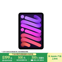 Apple/苹果 iPad mini (A17 Pro) 8.3英寸 平板电脑(512G eSIM版/mini7/MYHK3CH/A)紫色