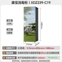 康宝（Canbo）消毒柜家用立式消毒碗柜大容量商用碗筷收纳消毒柜双门高温二星光感镜面【政府补贴】XDZ239-C19