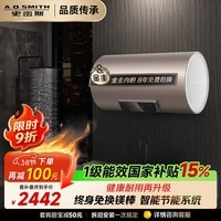 史密斯(A.O.SMITH)金圭电热水器60升【长款】ED3 免换镁棒 速热节能 一级能效 国家补贴【银河】