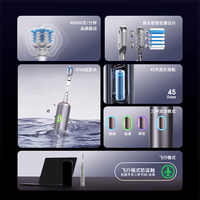 博皓（prooral）扫振电动牙刷男女士专用成人电动牙刷情侣 自动牙刷智能电动牙刷便携正畸软毛刷头 铝合金磁吸充电 银色| 高频振动| 软胶刷头