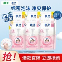 狮王（Lion）趣净泡沫洗手液99.9%抑菌保湿儿童成人通用 原装进口 补充装6袋(柠檬香*3+爽肤香*3）