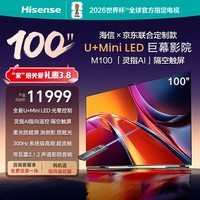 海信电视M100 100英寸电视 Mini LED柔光防眩屏 AI指向遥控器  300Hz高刷 京东联合定制款 国家补贴