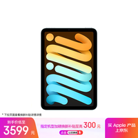 Apple/苹果 iPad mini (A17 Pro) 8.3英寸 平板电脑(128G WLAN版/mini7/MXN73CH/A)蓝色