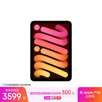 Apple/苹果 iPad mini (A17 Pro) 8.3英寸 平板电脑(128G WLAN版/mini7/MXN83CH/A)星光色