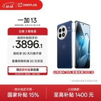 一加 13 16GB+512GB 蓝调时刻 oppo 国家补贴 高通骁龙®8至尊版 6000mAh 冰川电池 智能AI游戏5G手机