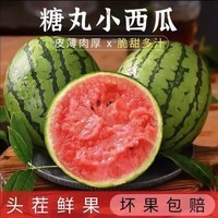 正宗河南2k小糖丸西瓜 手撕薄皮 新鲜水果 现摘直发 小糖丸4-5斤(1-2粒)手撕爆甜小西瓜