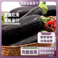 新鲜长茄绿把茄子农家自种现摘现发产地直发新鲜蔬菜当季茄子新鲜 新鲜茄子 2斤 带箱