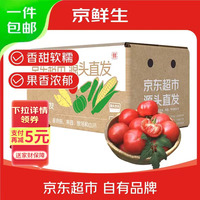 京鲜生 山东普罗旺斯番茄净重4.5斤中大果125g+ 沙瓤水果西红柿源头直发