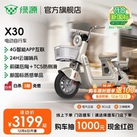 绿源【12.6开售】X30 电动自行车 长续航新新国标电动车可上牌 成人通勤代步电瓶车 到门店选颜色